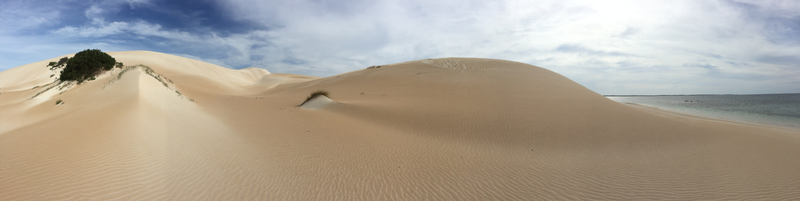 Illustration for article titled Playing In The Sand...